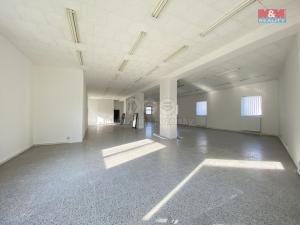 Pronájem obchodního prostoru, Louny, Říční, 180 m2