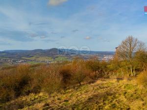 Prodej zemědělské půdy, Děčín - Děčín XXIX-Hoštice nad Labem, 3000 m2