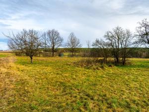 Prodej pozemku pro bydlení, Stádlec, 4550 m2