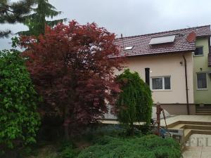 Prodej rodinného domu, Olomouc, Na Pevnůstce, 140 m2