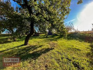 Prodej rodinného domu, Pavlovice u Kojetína, 205 m2