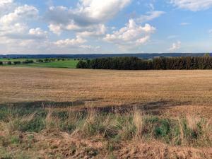 Prodej zemědělské půdy, Bílá Třemešná, 18276 m2