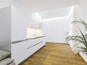 Pronájem bytu 1+kk, Praha - Střešovice, Střešovická, 25 m2