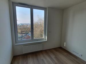 Pronájem bytu 1+kk, Brno, Placzkova, 26 m2