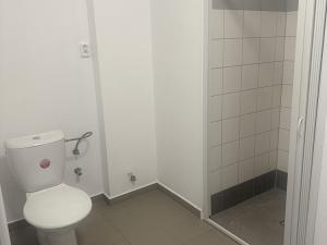 Pronájem bytu 1+kk, Liberec, Česká, 33 m2