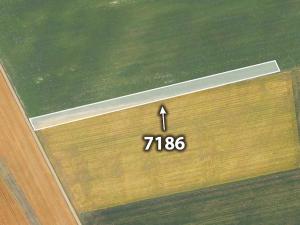 Prodej trvalého travního porostu, Bánov, 12463 m2
