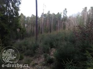 Prodej lesa, Křečovice, 5337 m2