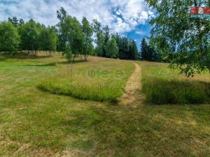 Prodej trvalého travního porostu, Dlouhý Most, 7756 m2