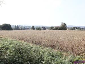 Prodej zemědělské půdy, Dvůr Králové nad Labem, Do Polí, 27614 m2