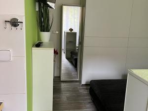 Pronájem bytu 1+kk, Ostrava, Karla Pokorného, 27 m2