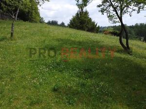 Prodej pozemku pro bydlení, Budišovice, Ostravská, 1015 m2