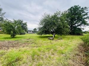 Prodej pozemku pro bydlení, Kynšperk nad Ohří, 1002 m2