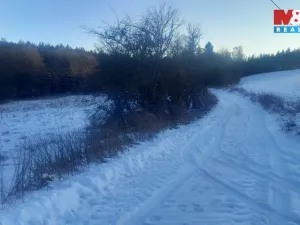 Prodej trvalého travního porostu, Oselce - Kotouň, 19732 m2