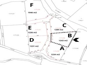 Prodej pozemku pro bydlení, Buš, 1243 m2