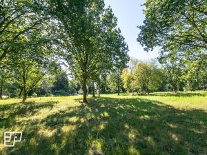 Pronájem pozemku pro komerční výstavbu, Jeníkov, 13072 m2