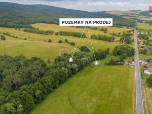 Prodej trvalého travního porostu, Dětřichov, 4178 m2