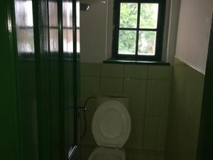 Pronájem bytu 1+1, Žatec, Dlouhá, 50 m2