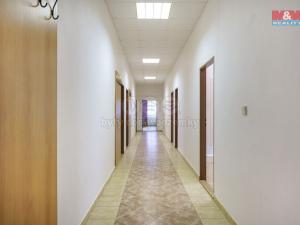 Prodej ubytování, Petrovice - Krásný Les, 800 m2