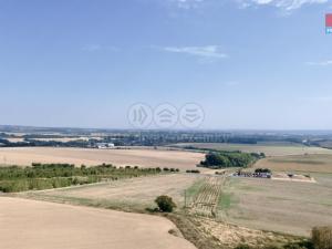 Prodej zemědělské půdy, Velké Albrechtice, 4085 m2