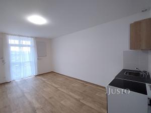 Pronájem bytu 1+kk, Čížová, 20 m2