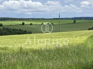 Prodej pozemku pro bydlení, Zbizuby, 965 m2