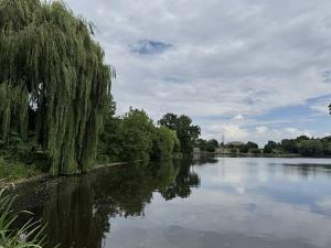 Prodej rodinného domu, Praha - Liboc, V domcích, 224 m2