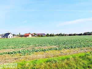 Prodej pozemku pro komerční výstavbu, Slatiňany, 21900 m2