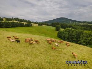 Prodej bytu 2+kk, Vrchlabí, Stavidlový vrch, 45 m2