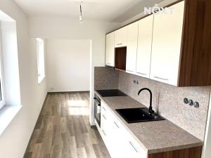 Pronájem bytu 1+kk, České Budějovice, Opatovická, 31 m2