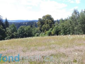 Prodej zemědělské půdy, Přídolí - Všeměry, 13471 m2