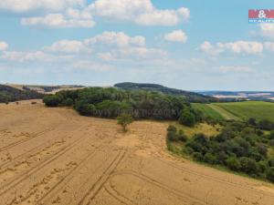 Prodej zahrady, Zvíkovec, 16882 m2