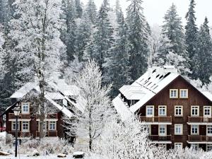 Prodej bytu 3+kk, Karlova Studánka, 79 m2