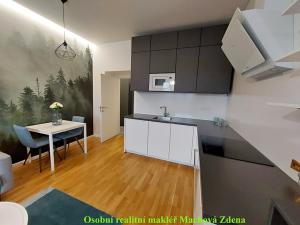 Prodej bytu 2+kk, Praha - Kobylisy, náměstí Dr. Václava Holého, 44 m2