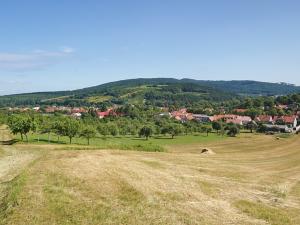 Prodej zemědělské půdy, Veselí nad Moravou, 4716 m2