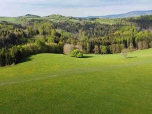 Prodej zemědělské půdy, Hanušovice - Hynčice nad Moravou, 15879 m2