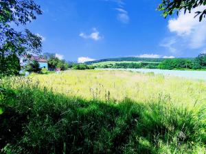 Prodej pozemku, Srby, 1890 m2