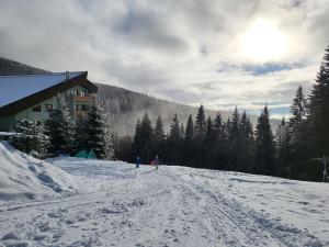 Prodej bytu 1+kk, Černý Důl, 35 m2