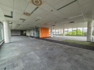 Pronájem kanceláře, Brno - Královo Pole, Technická, 4000 m2