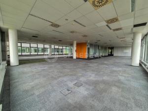 Pronájem kanceláře, Brno - Královo Pole, Technická, 4000 m2