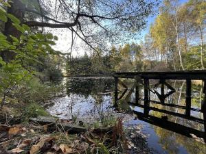 Prodej pozemku, Benešov nad Černou - Klení, 6805 m2