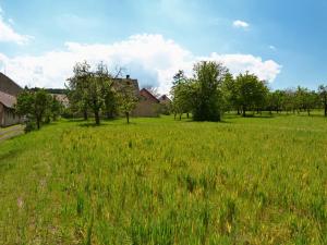 Prodej pozemku pro bydlení, Třebenice, 5800 m2