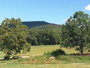 Prodej pozemku pro bydlení, Louňovice pod Blaníkem, 1046 m2