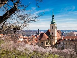 Prodej ubytování, Praha - Košíře, Jinonická, 351 m2