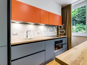 Pronájem bytu 1+kk, Praha - Vinohrady, Perucká, 26 m2