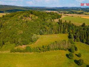 Prodej trvalého travního porostu, Mladý Smolivec - Starý Smolivec, 13489 m2