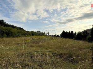 Prodej pozemku pro bydlení, Přerov - Přerov XI-Vinary, 4219 m2