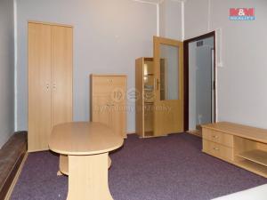 Pronájem bytu 1+kk, Teplice, U nádraží, 30 m2