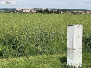 Prodej pozemku, Tetčice, 1282 m2