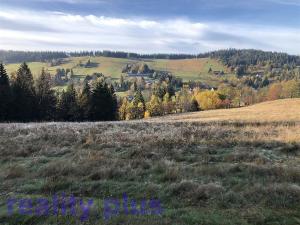 Prodej trvalého travního porostu, Bedřichov, 15452 m2