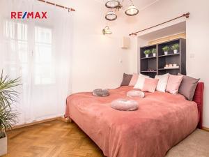 Prodej bytu 3+kk, Praha - Malá Strana, Sněmovní, 54 m2